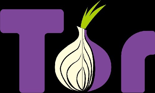 Tor is the best option but not the perfect software