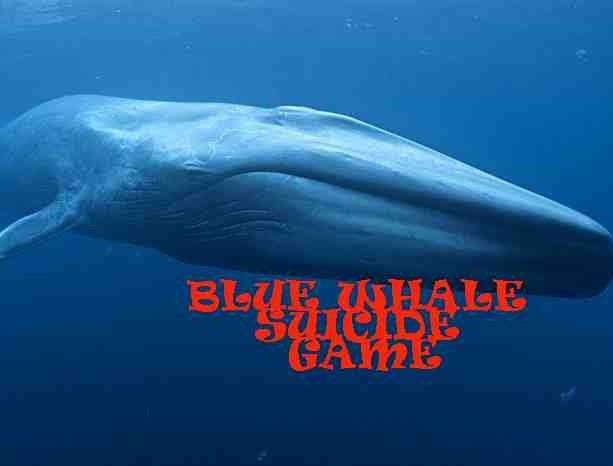 Blue whale game is disrupting the teenagers in different ways