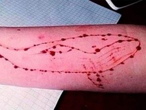 Blue Whale Challenge Marks Victims in Peshawar