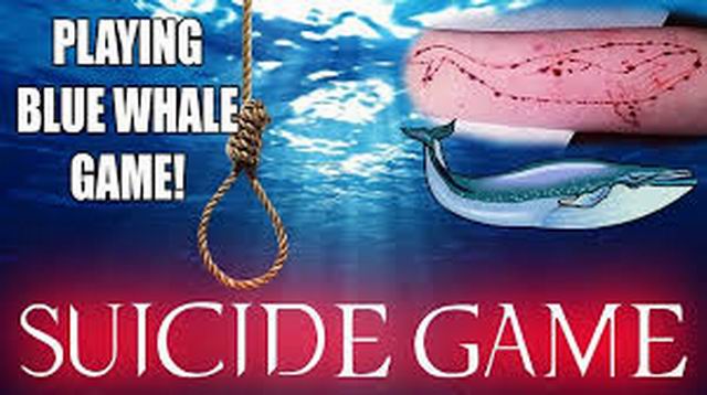 Beware of the brutal Blue Whale likely to hit Pakistan