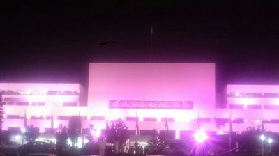 Parliament House turned Pink In support of Pink Ribbon