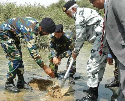 Pak Army plants 2 million trees in Pakistan within a day