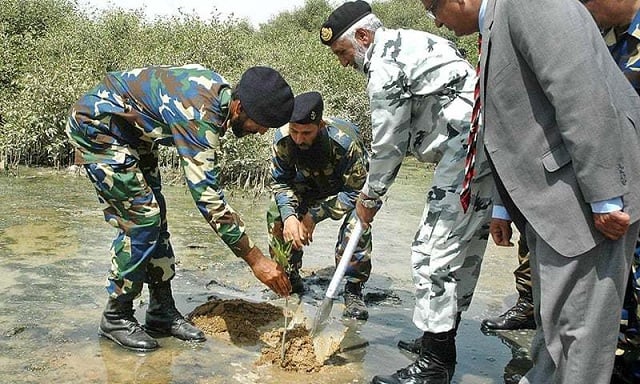 Pak Army plants 2 million trees in Pakistan within a day
