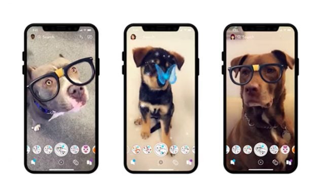 Dog lenses revealed by Snapchat