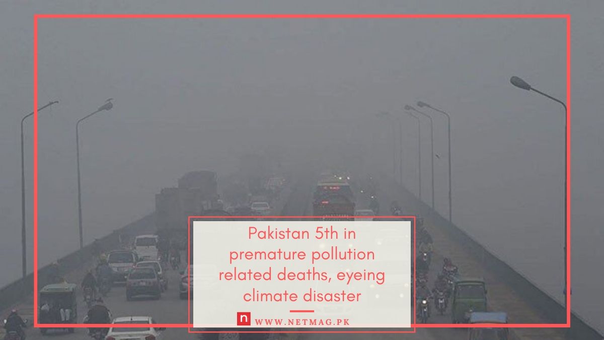 pollution related deaths