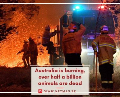 Australia is burning
