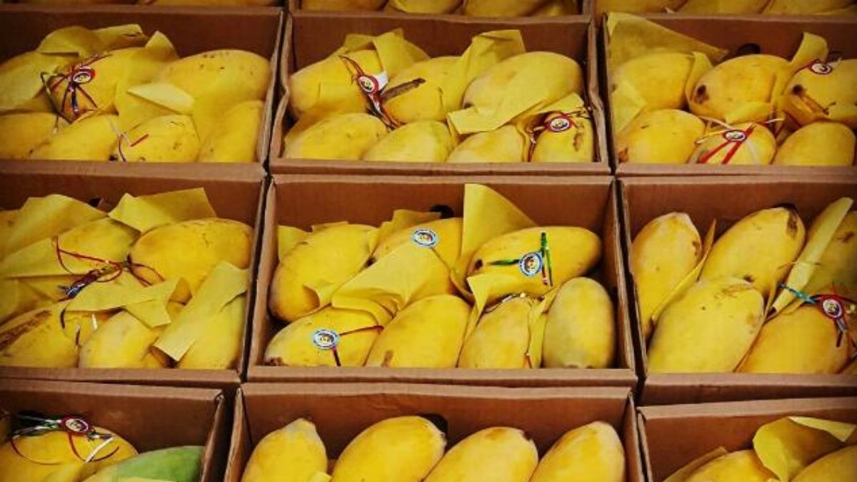 Leading mango exporter
